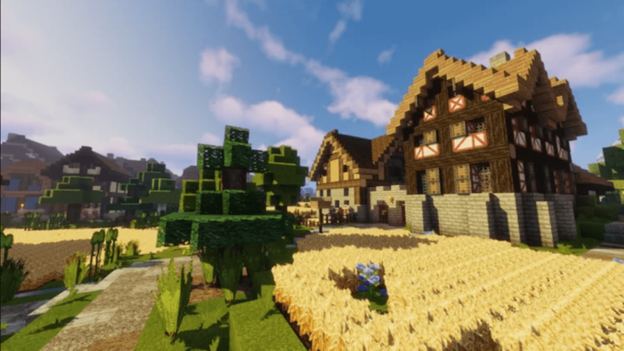 Winthorp Medieval Minecraft Texture Pack.