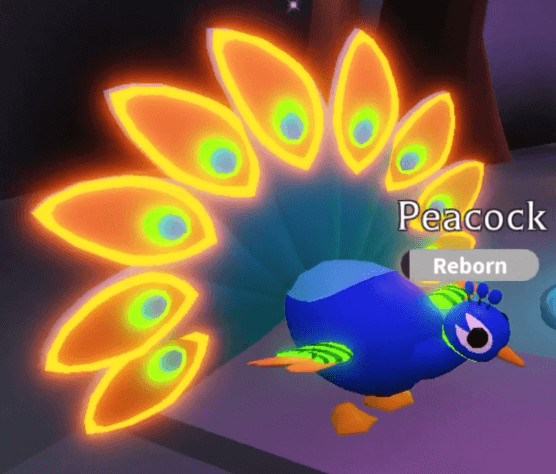 How To Get A Neon Peacock In Roblox Adopt Me Pro Game Guides - roblox backpacking codes wiki