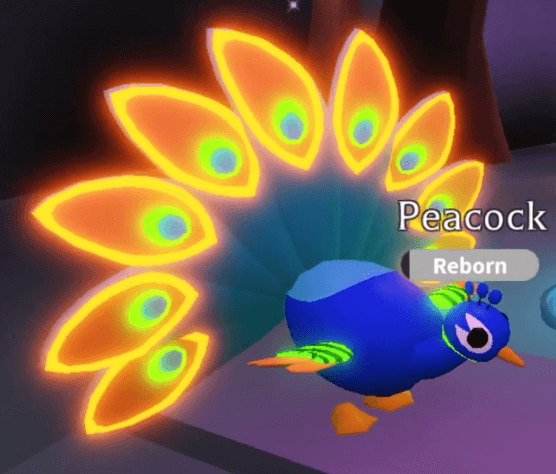 How to get a Neon Peacock in Roblox Adopt Me - Games Predator