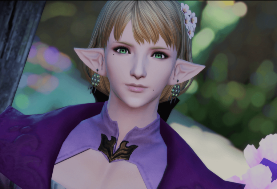 final fantasy xiv mods