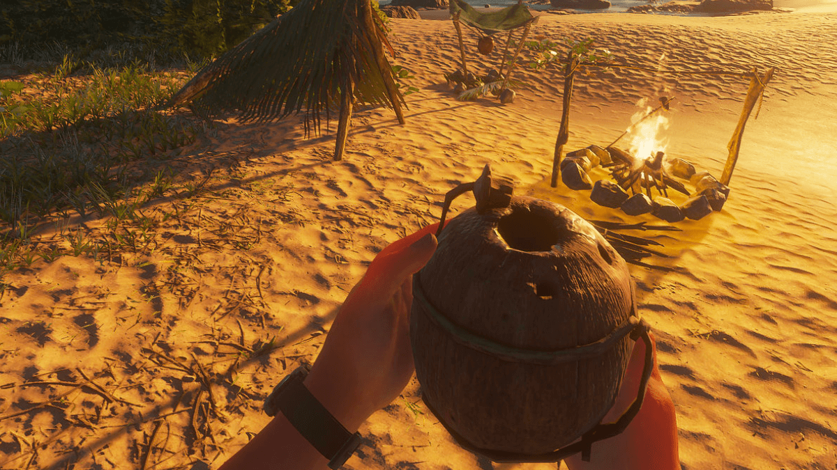 A coconut flask in Stranded Deep.