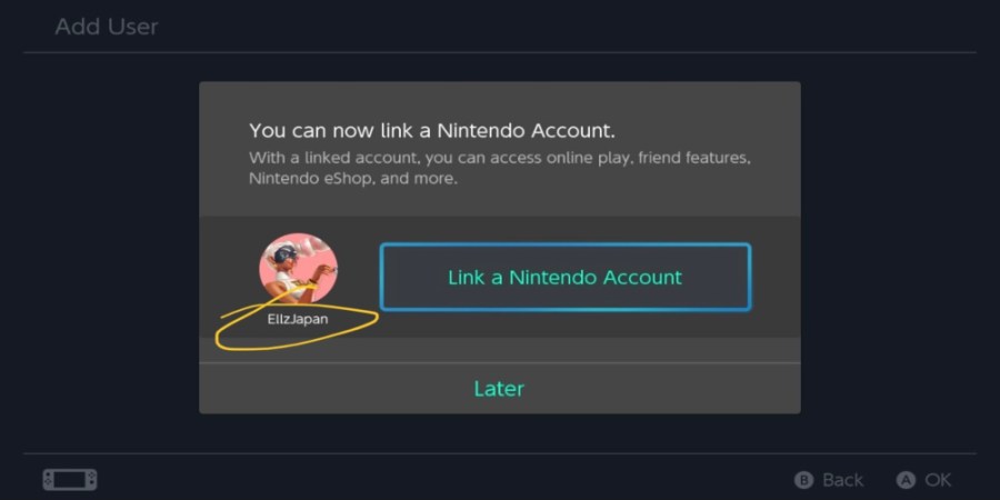 Screenshot of Pokemon Unite Japanese beta instructions