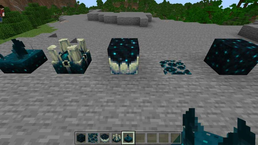 Minecraft Sculk Blocks
