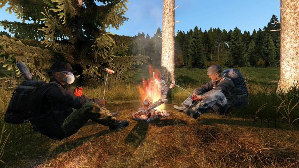 How to make a Fire in DayZ Pro Game Guides