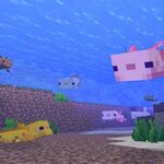 minecraft axolotl colors