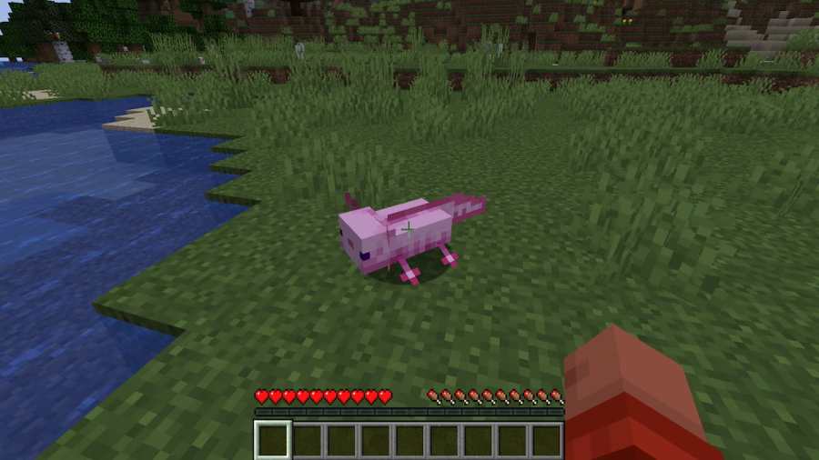 All axolotl colors in Minecraft Pro Game Guides