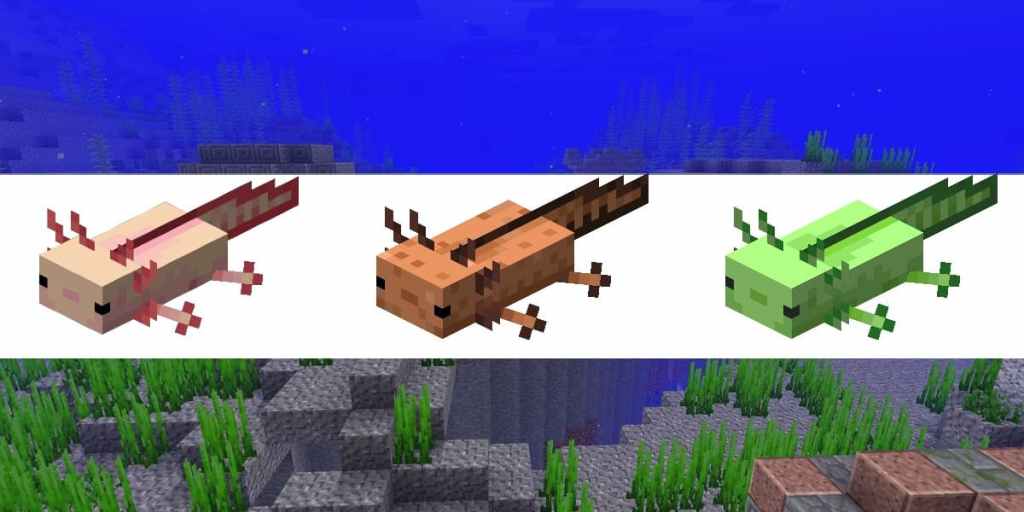 All Axolotl Colors in Minecraft Pro Game Guides