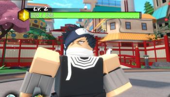 A character in Roblox Anime WArriors.