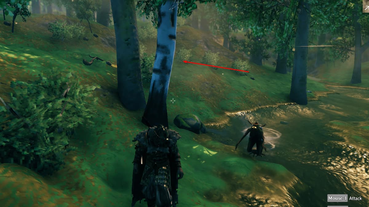 Where and how to get and grow Birch seeds in Valheim Pro Game Guides