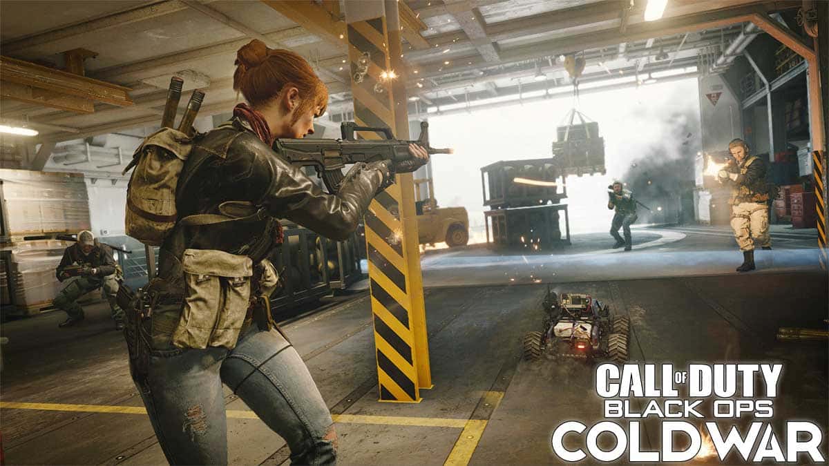 Best Aim Assist Settings in Call of Duty Black Ops Cold War Pro Game Guides