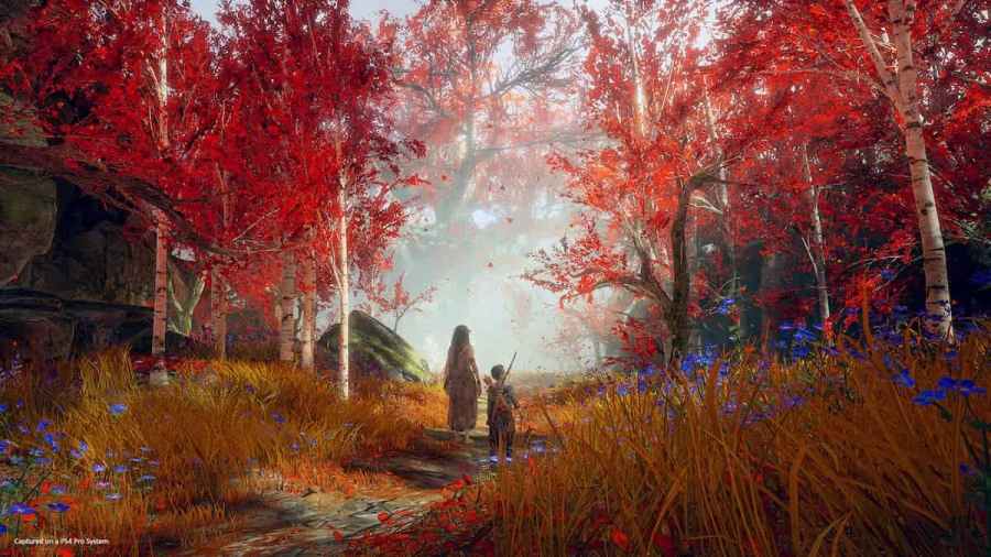 Image via Santa Monica Studios