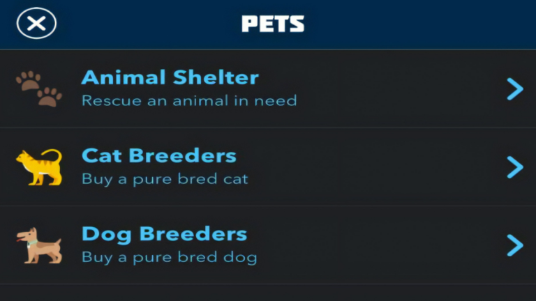 How Many Pets Can You Own In Massachusetts