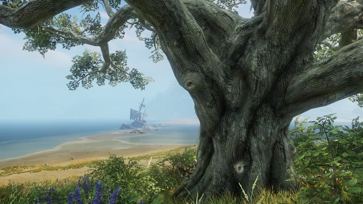 Image via Amazon Games