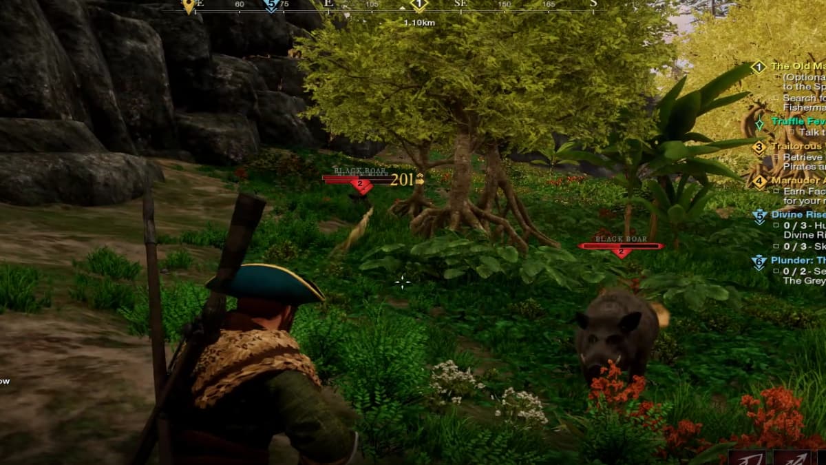 Where to find Boars in New World Best Boar Farming Locations Pro