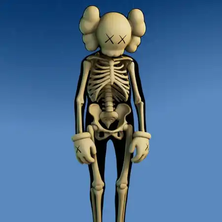Kaws Skeleton skin
