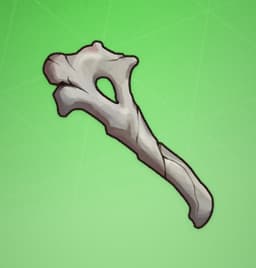 Fragile Bone Shard 