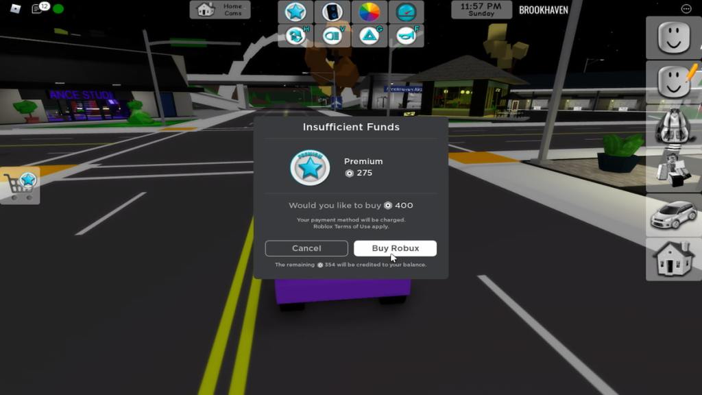 brookhaven roblox premium