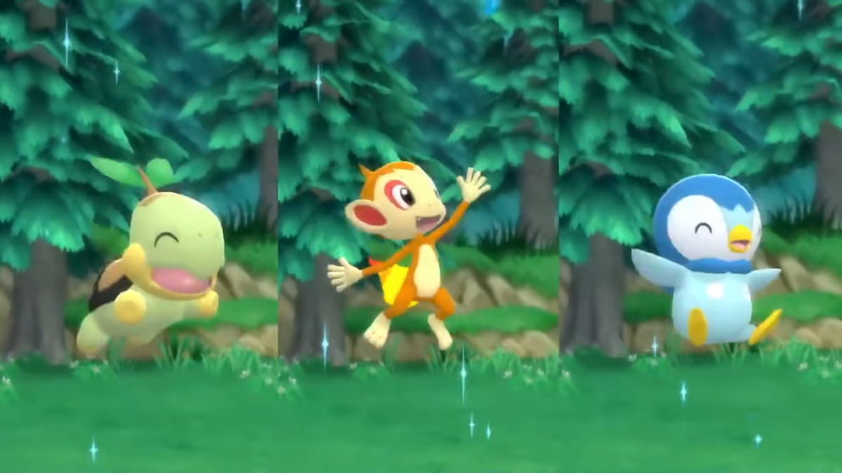 Best nature for Chimchar, Piplup, and Turtwig Pokemon Brilliant Diamond and Shining Pearl