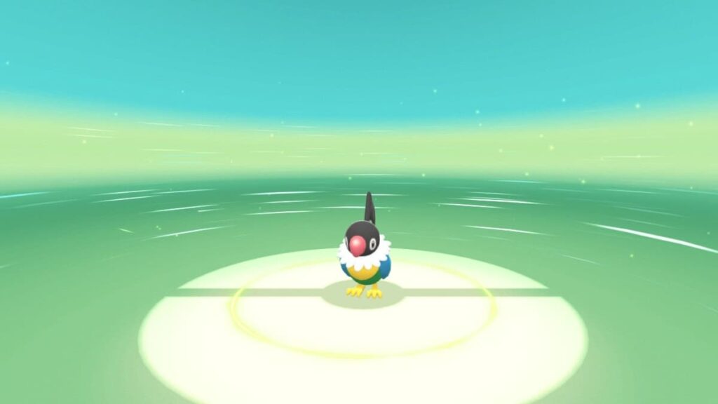 Where to find Chatot in Pokémon Brilliant Diamond and Shining Pearl