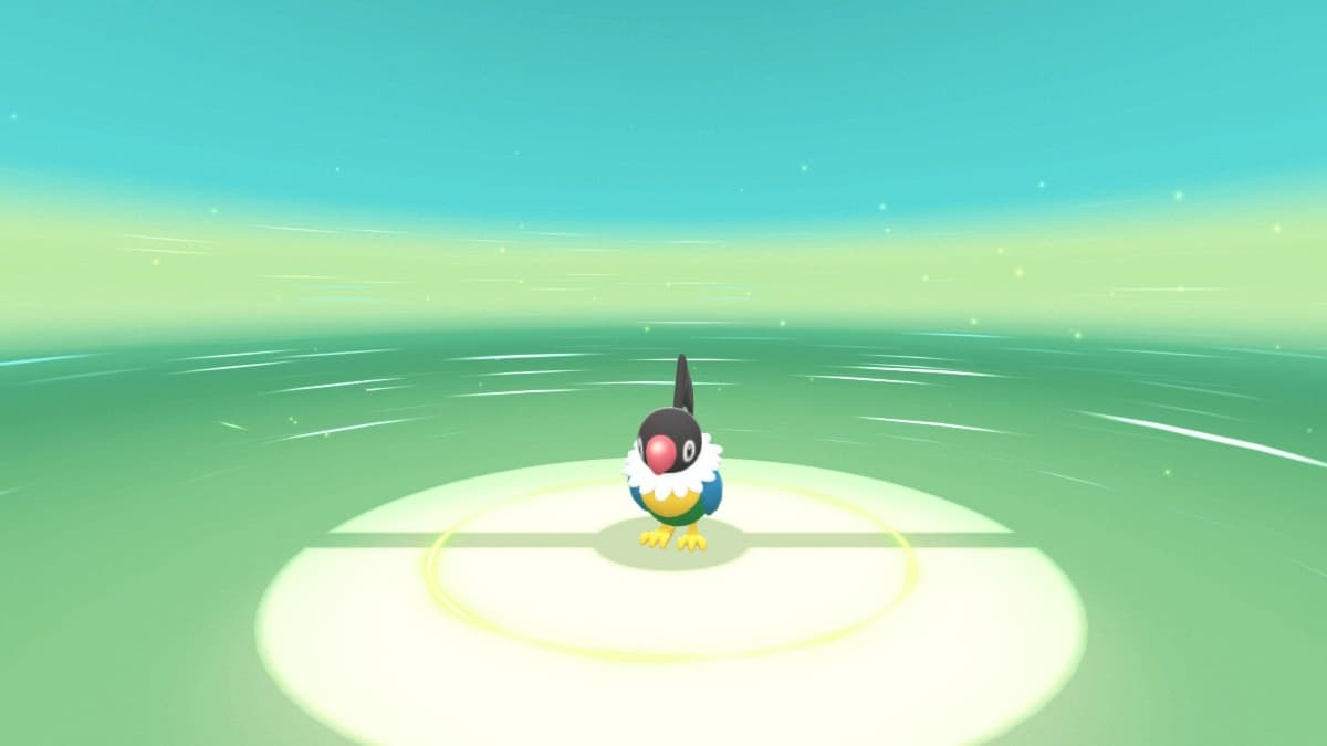Where To Find Chatot In Pokemon Brilliant Diamond
