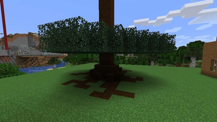 Minecraft Spruce Leaves