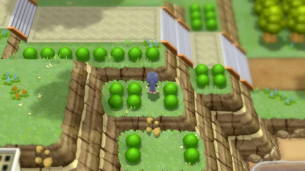 All Rare Candy Locations in Pokémon Brilliant Diamond and Shining Pearl ...