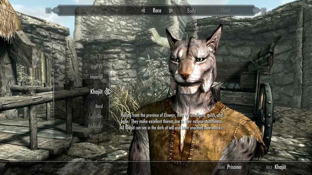 Worst Races To Play In Skyrim Pro Game Guides   Skyrim Khajiit 1024x576 