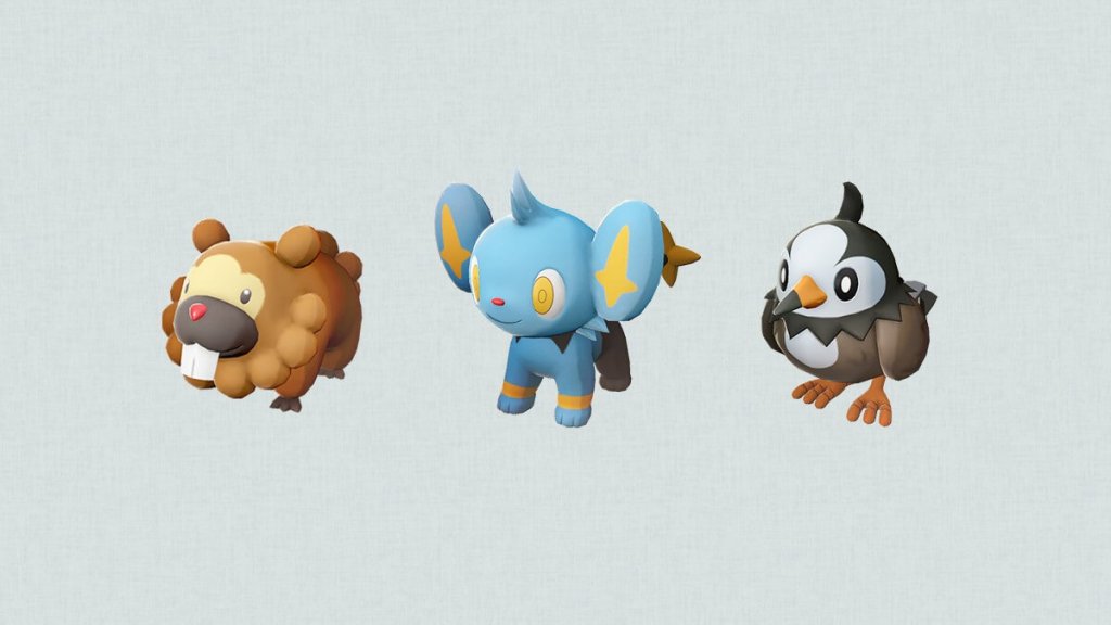 Bidoof, Shinx, and Starly