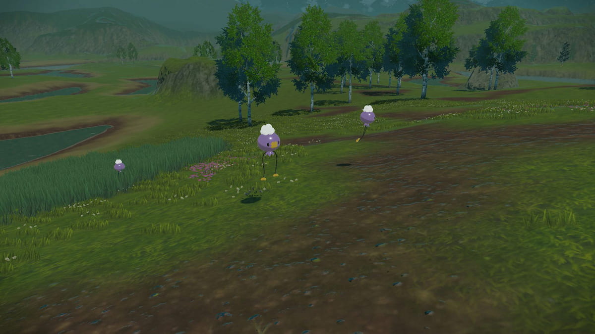 Image via The Pokémon Company