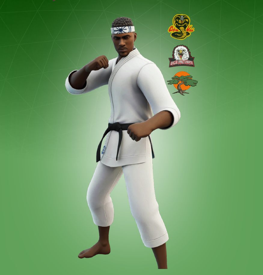 Dojo Defender Skin