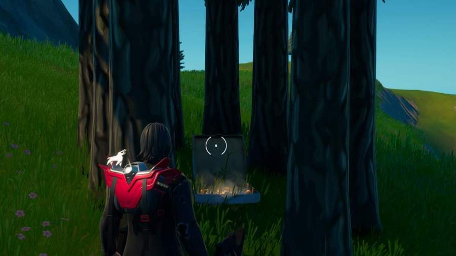 Screenshot by Pro Game Guides