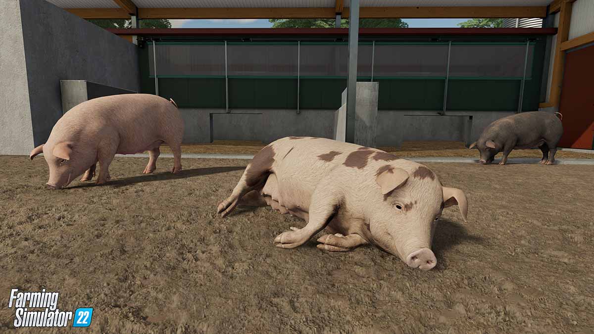How to purchase, feed, and sell pigs in Farming Simulator 22 Pro Game