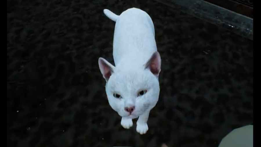 Image via Bethesda Softworks