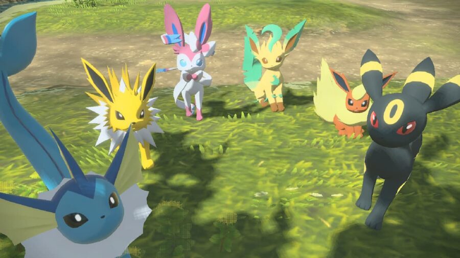 Pokémon Legends: Arceus — How to catch and evolve Eevee