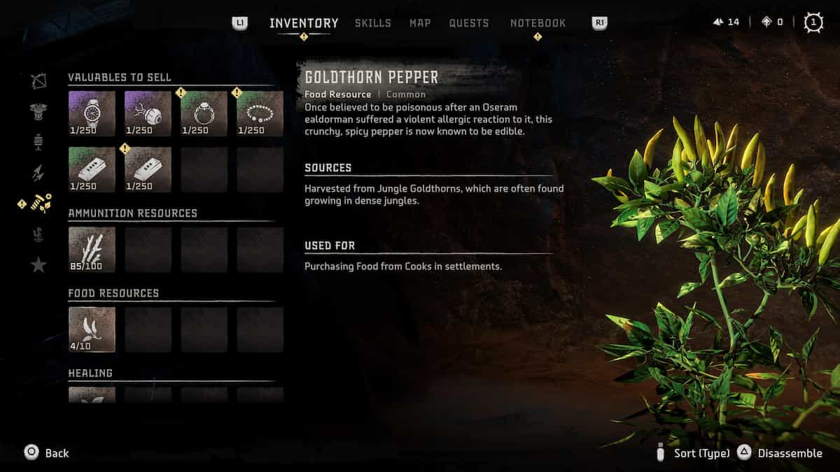 Screenshot by Pro Game Guides