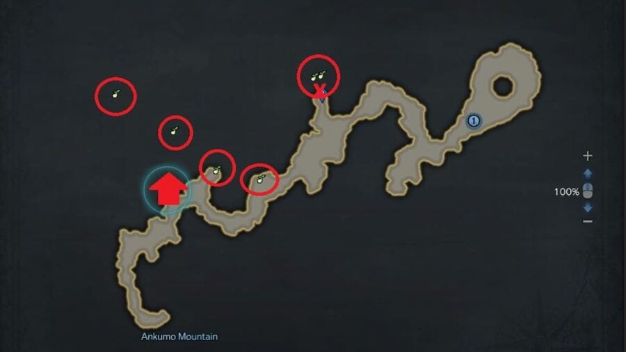 All Mokoko Seeds Location In Aquilok S Head In Lost Ark Pro Game Guides