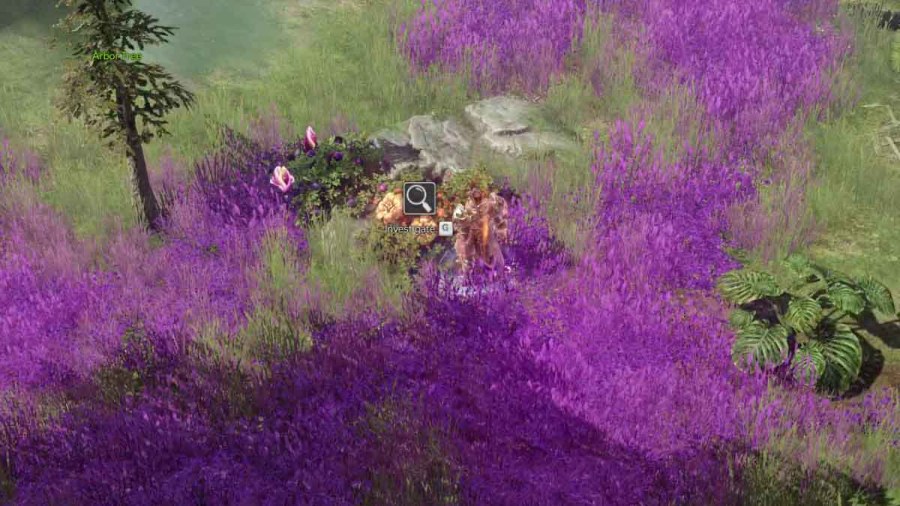 Screenshot by Pro Game Guides