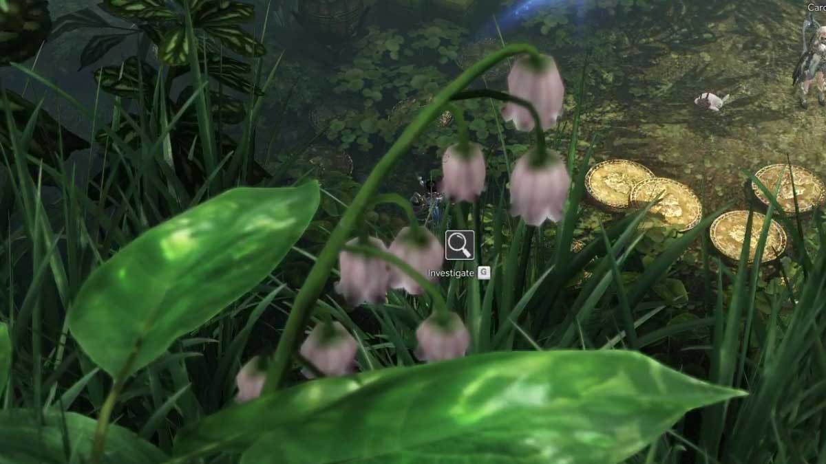 Screenshot by Pro Game Guides