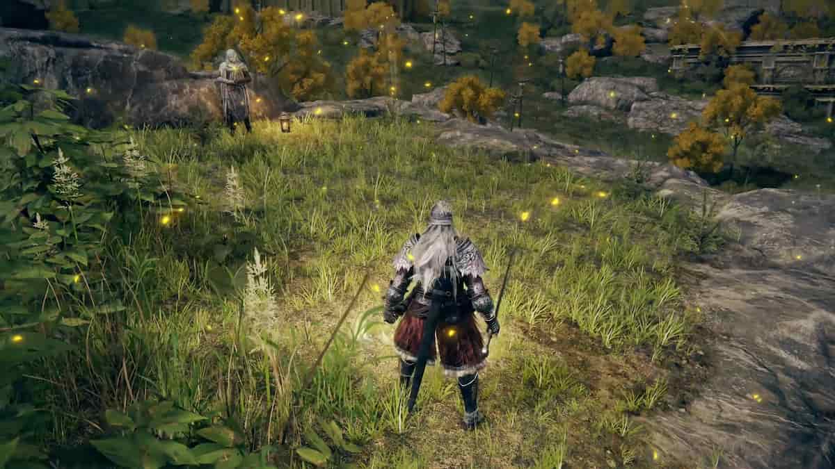 Image via FromSoftware