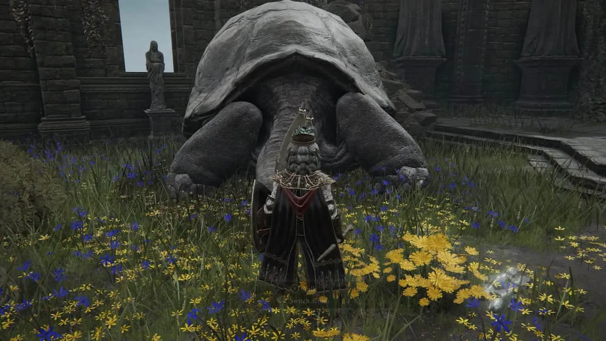 How to get Celestial Dew to revive dead NPCs in Elden Ring Pro Game