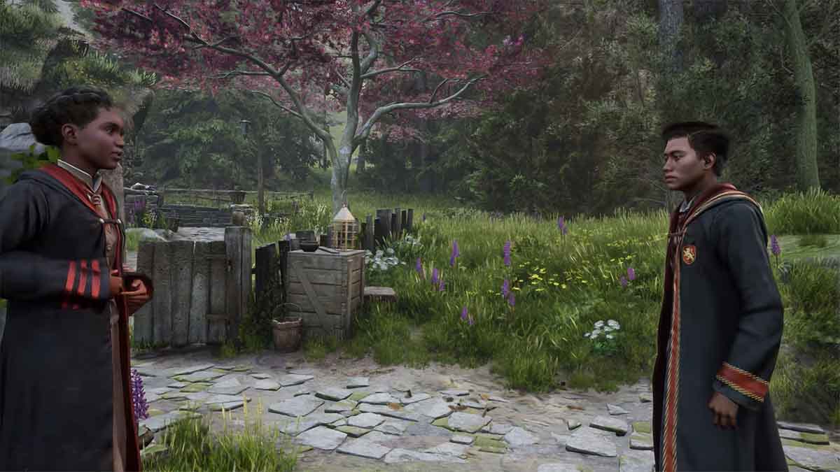 Image via Avalanche Software