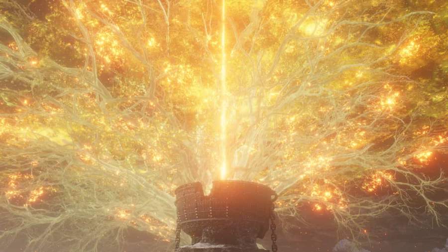 Should you burn the Erdtree in Elden Ring? Pro Game Guides