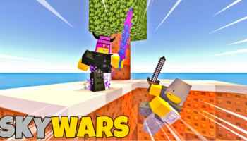 Roblox Skywars two characters fighting