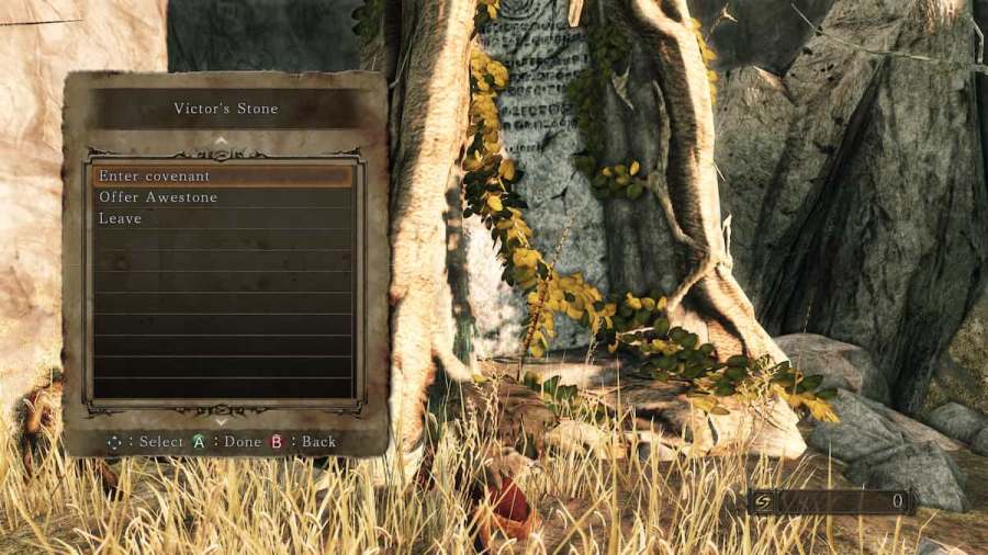 What is the Victor's Stone in Dark Souls 2? Pro Game Guides