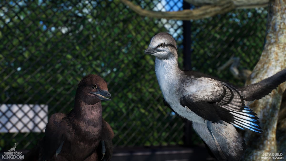 Image via Blue Meridian