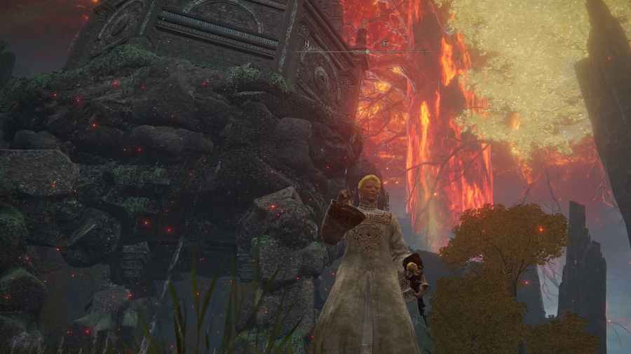 Elden Ring Mausoleum Not Working How To Fix Pro Game Guides