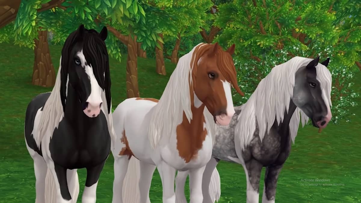 star stable updated tinker horse