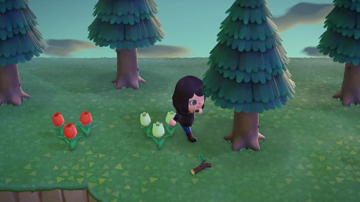 How to get Star Fragments in Animal Crossing New Horizon Pro Game Guides