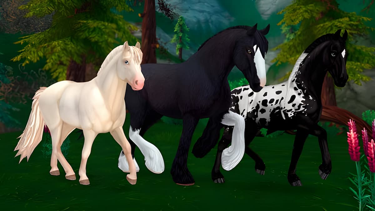Star Stable Codes - SSO February 2021 - Mejoress
