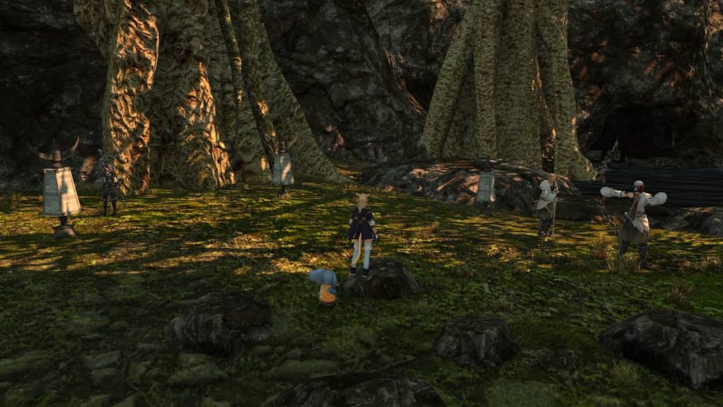 All FFXIV Training Dummy locations Pro Game Guides